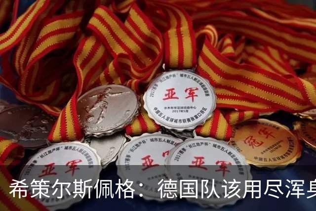 希策尔斯佩格：德国队该用尽浑身解数吸引特雷索尔迪